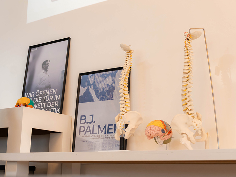 Philosophie und Geschichte der Chiropraktik
